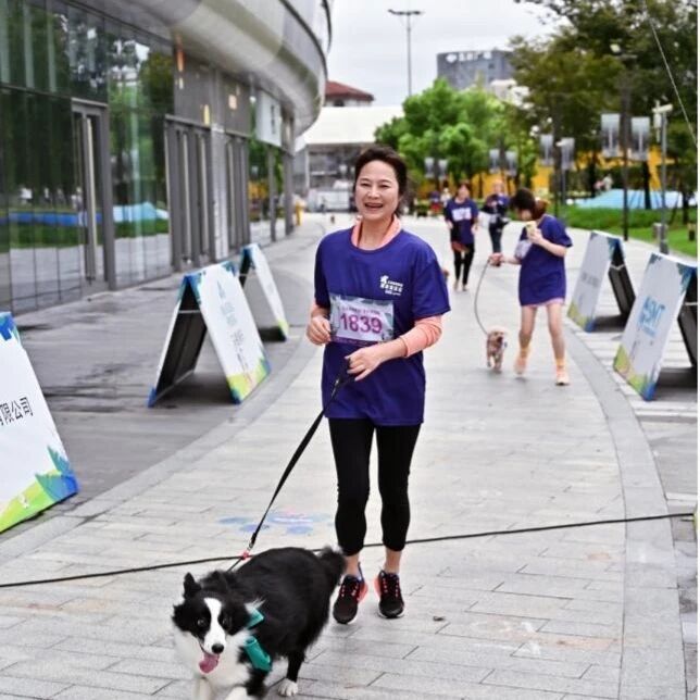 Oeju, width, om Oeju, width, om