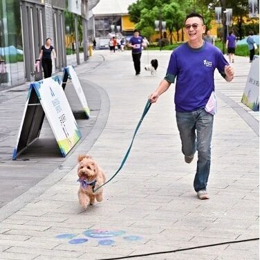 个个精神抖 个个精神抖