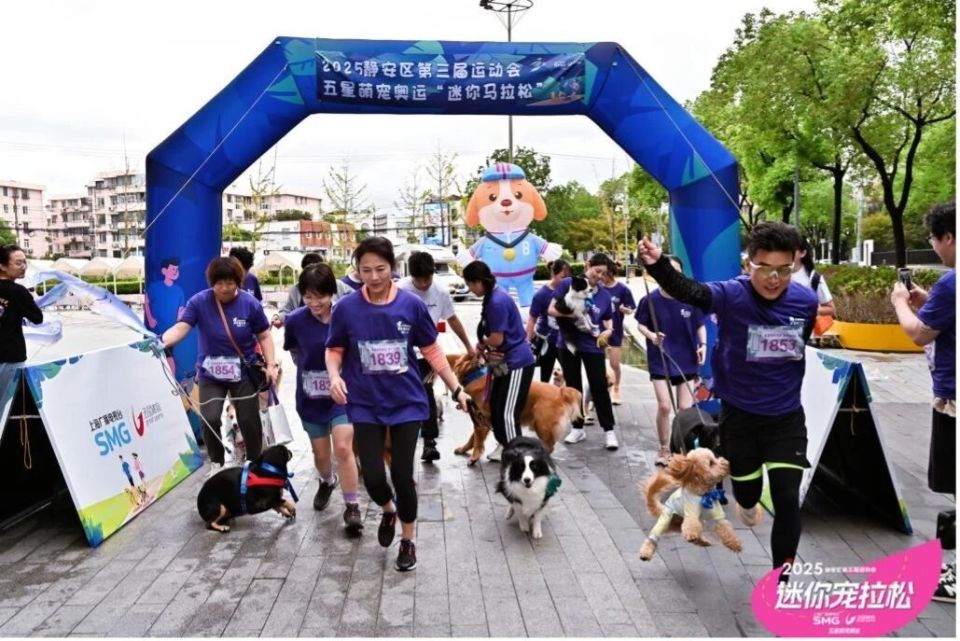 jFSh, lelDA, borde jFSh, lelDA, borde